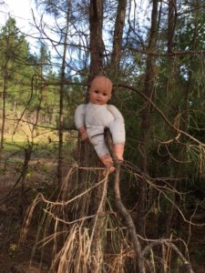 baby-in-tree
