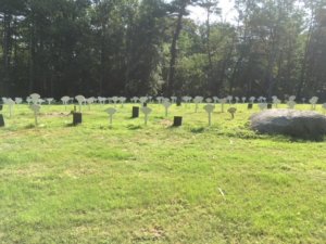 Harvard Shaker Cemetery