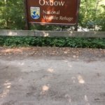 Oxbow Wildlife Refuge